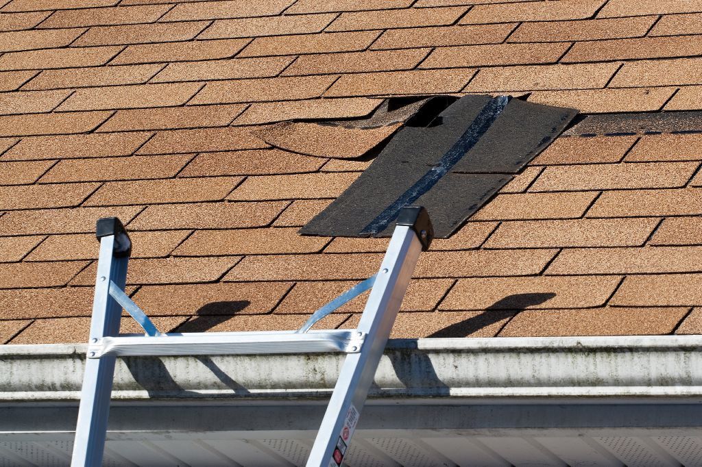 Inspect your roof